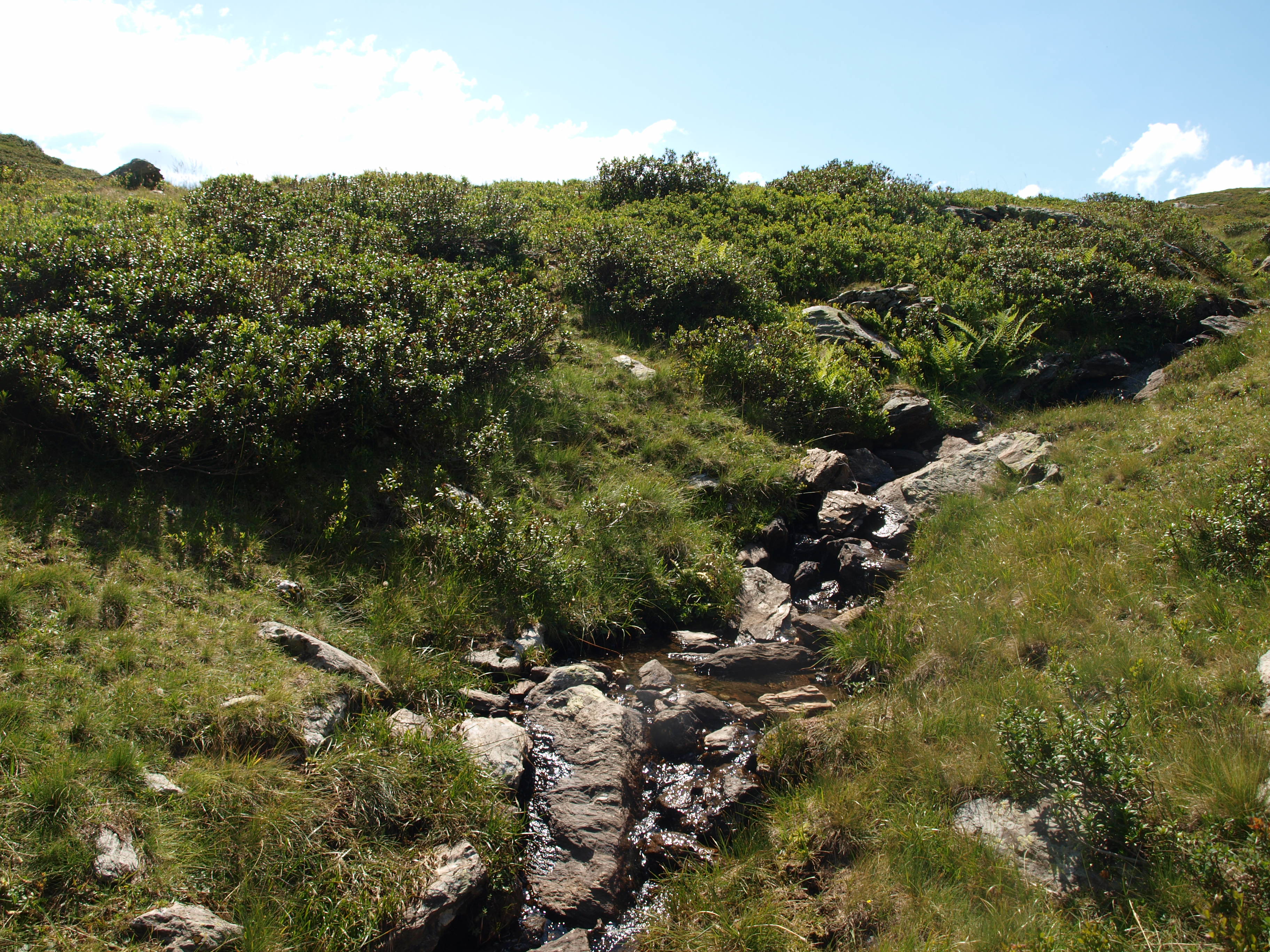 Le lac fuit et devient un ruisseau