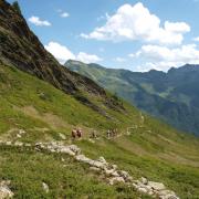 Le groupe dans la montagne