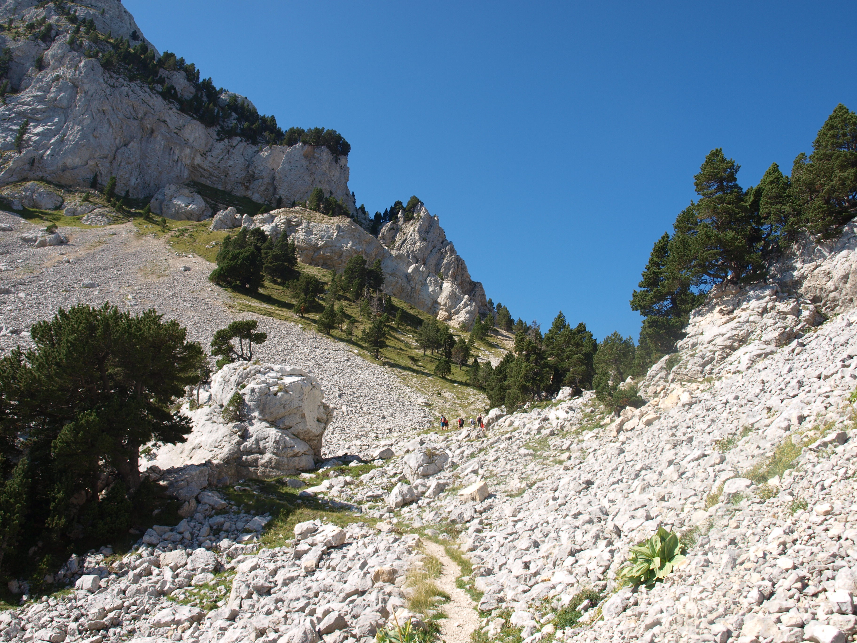 La suite du sentier à la montée