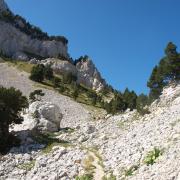 La suite du sentier à la montée