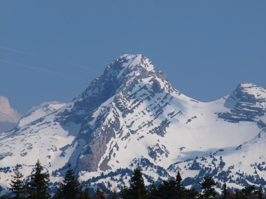 La grande Moucherolle