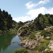 Lac Bernard