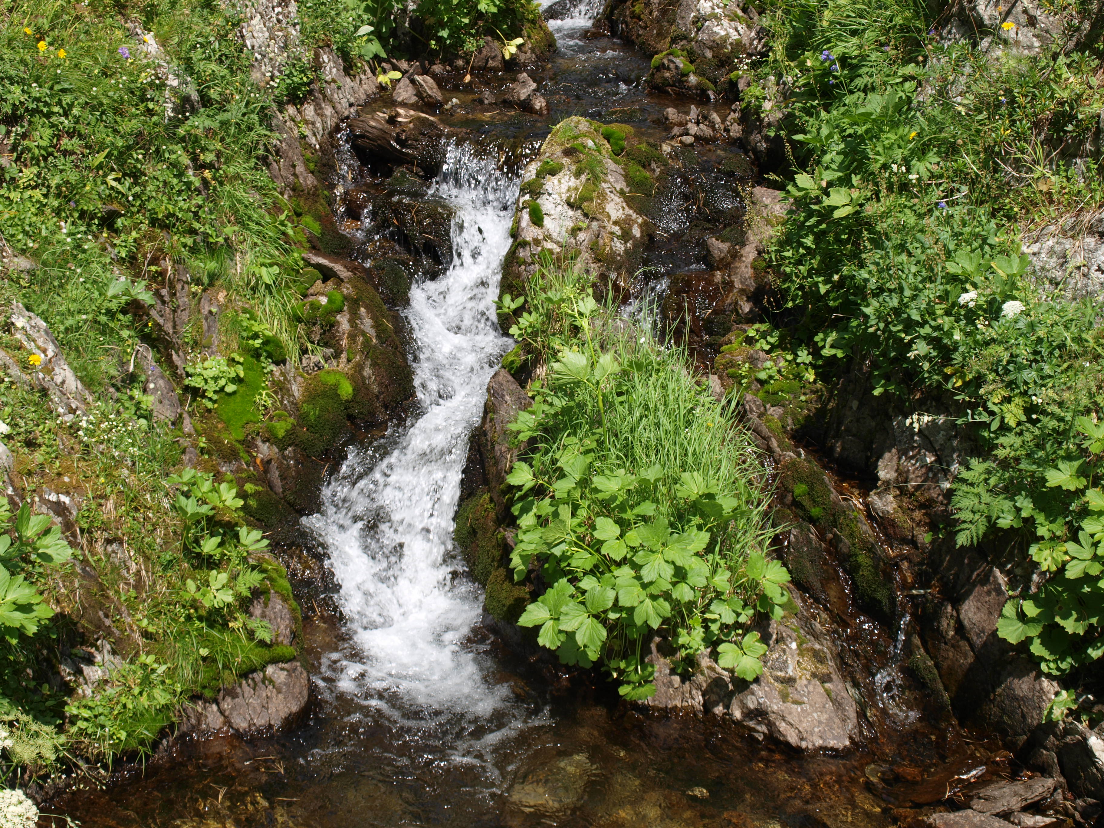 Cascade d'eau fraîche