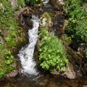 Cascade d'eau fraîche