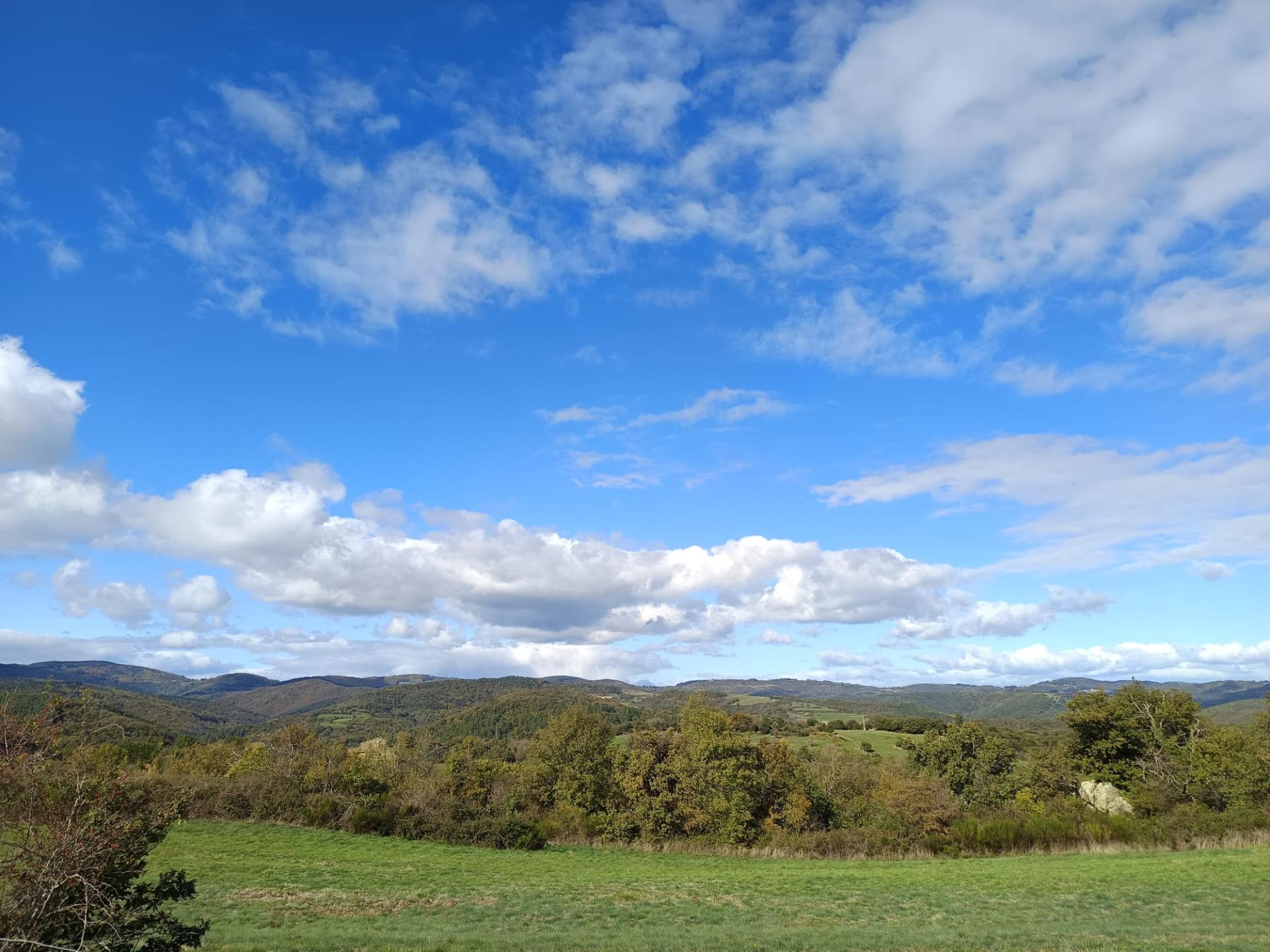 18 1 2026 st georges