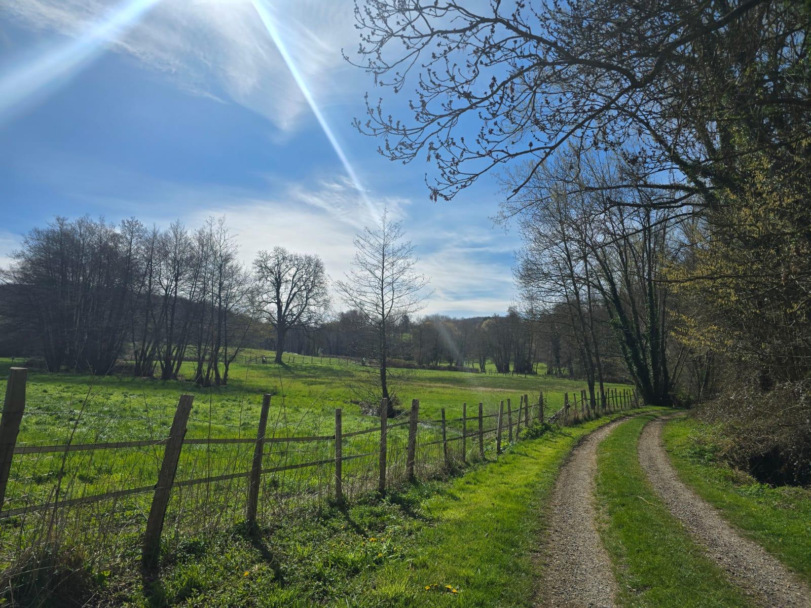 2026 05 03 chatonnay