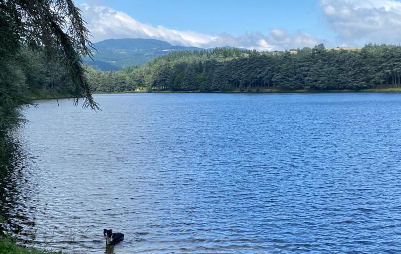 Lac du ternay 04